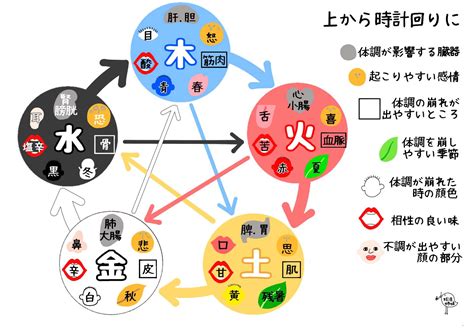 五行特質|五行